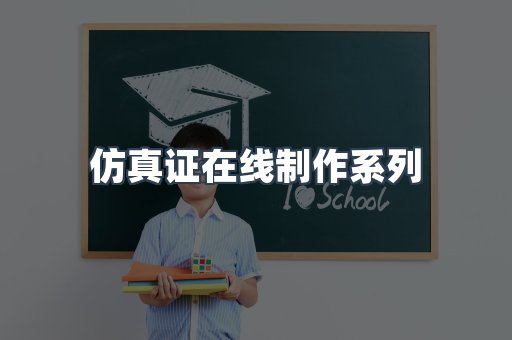 仿真证在线制作